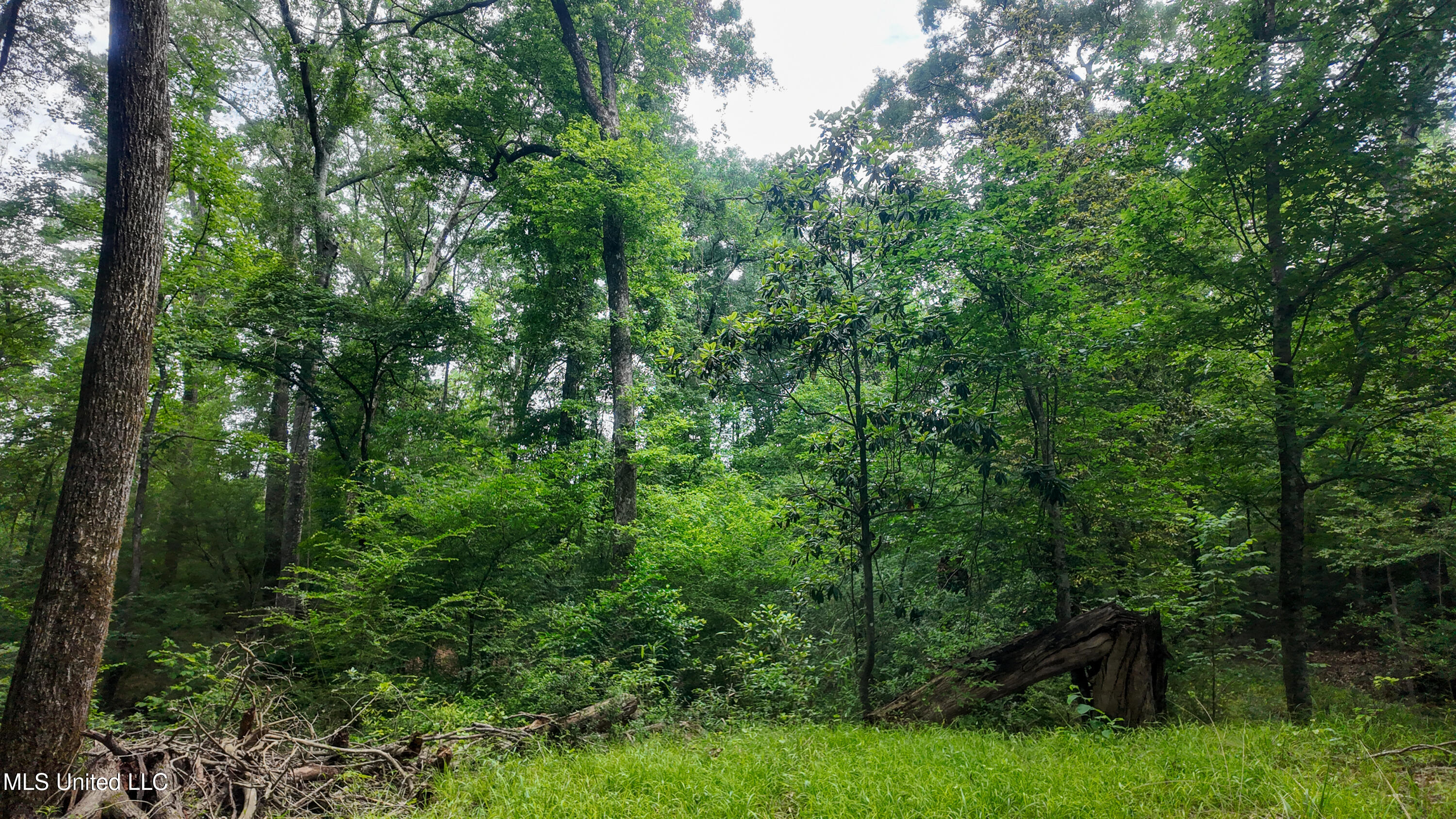 570 Mississippi Summit Summit, MS 39666 - Photo 4 of 17 DJI_20250516104907_0095_D