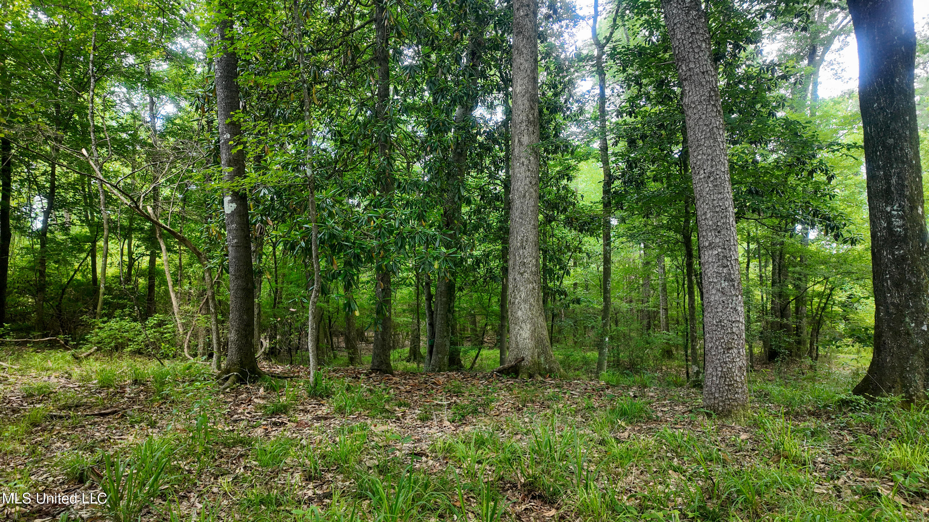 570 Mississippi Summit Summit, MS 39666 - Photo 5 of 17 DJI_20250516104840_0092_D