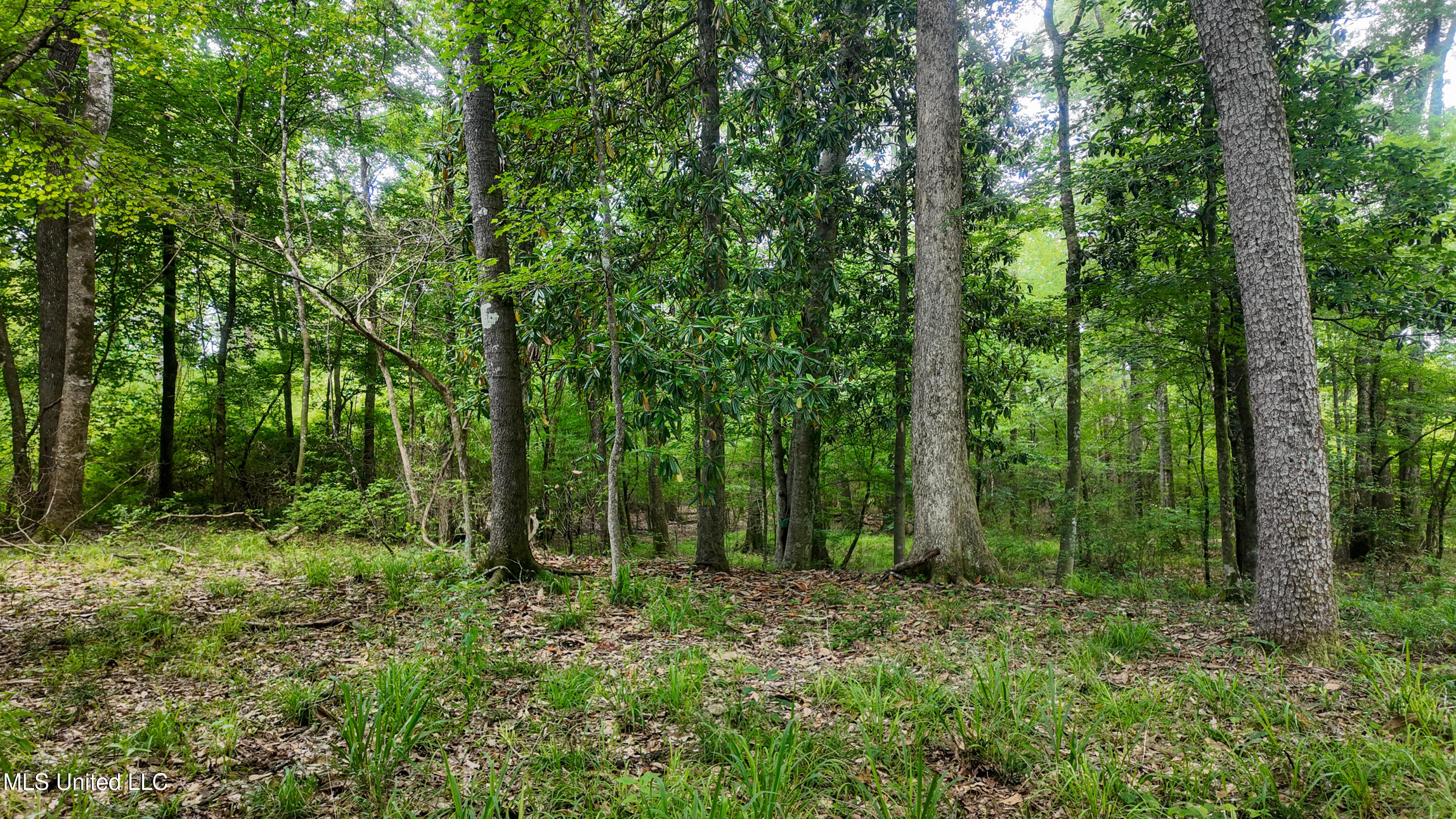 570 Mississippi Summit Summit, MS 39666 - Photo 6 of 17 DJI_20250516104830_0089_D