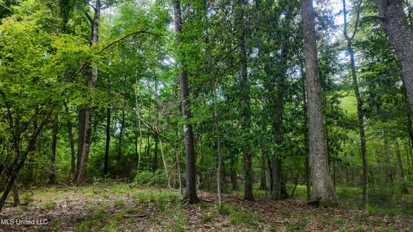 $360,000 | 570 Mississippi Summit, Summit, MS 39666