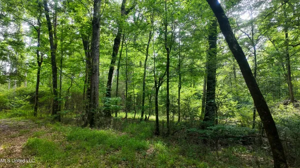 $360,000 | 570 Mississippi Summit, Summit, MS 39666