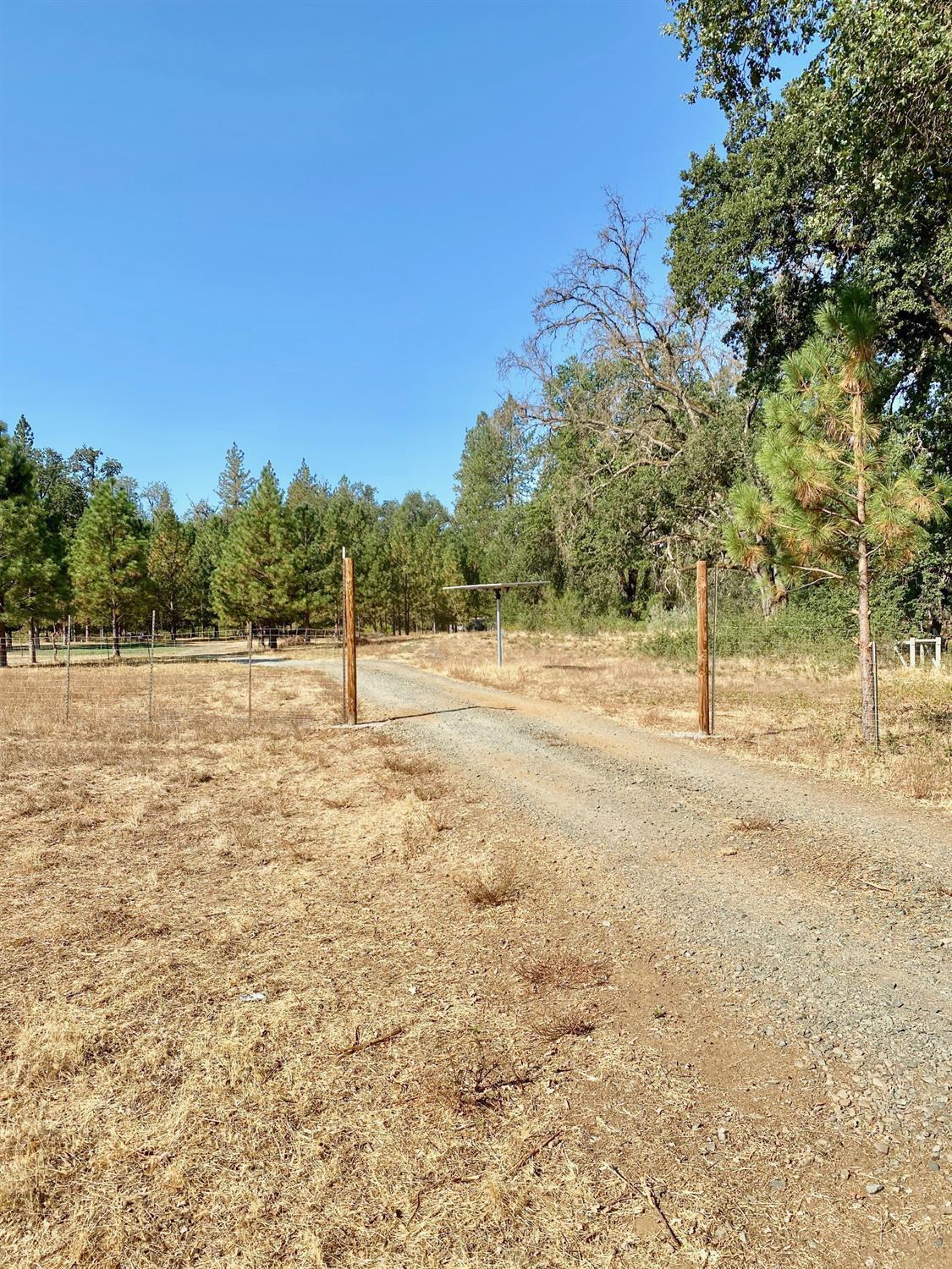 9398 Yuba Ranch Way Oregon House, CA 95962 - Photo 13 of 22 a backyard of a house with lots of green space