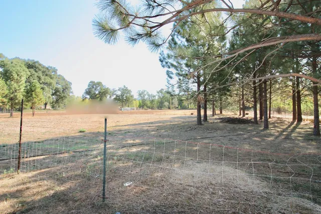 a view of dirt yard with a large tree