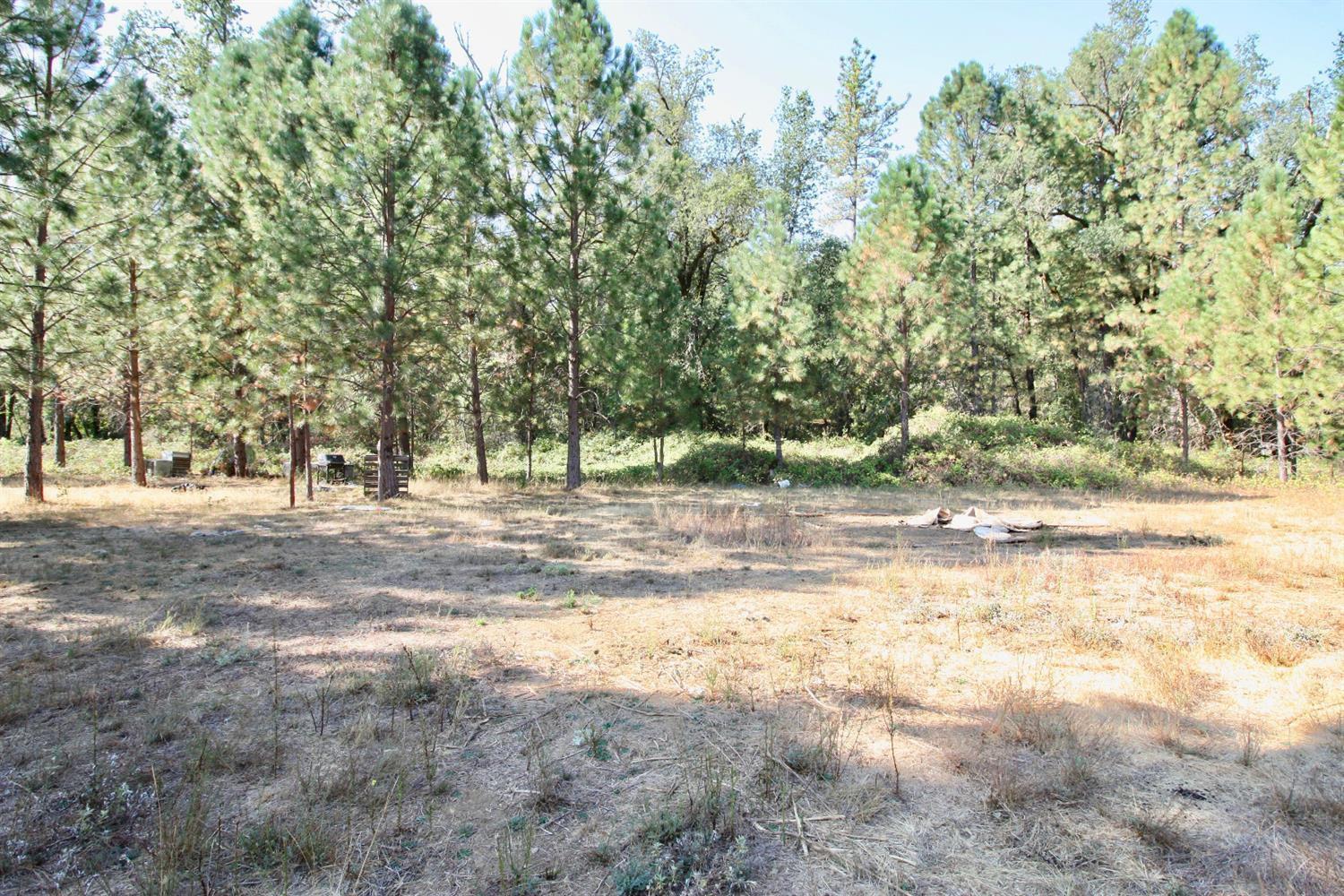 9398 Yuba Ranch Way Oregon House, CA 95962 - Photo 17 of 22 a view of dirt yard with a large tree