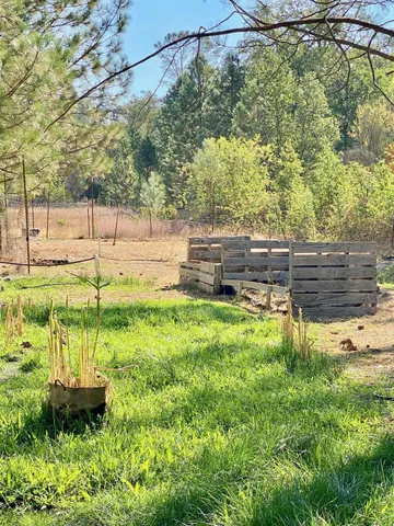 a view of yard with trees