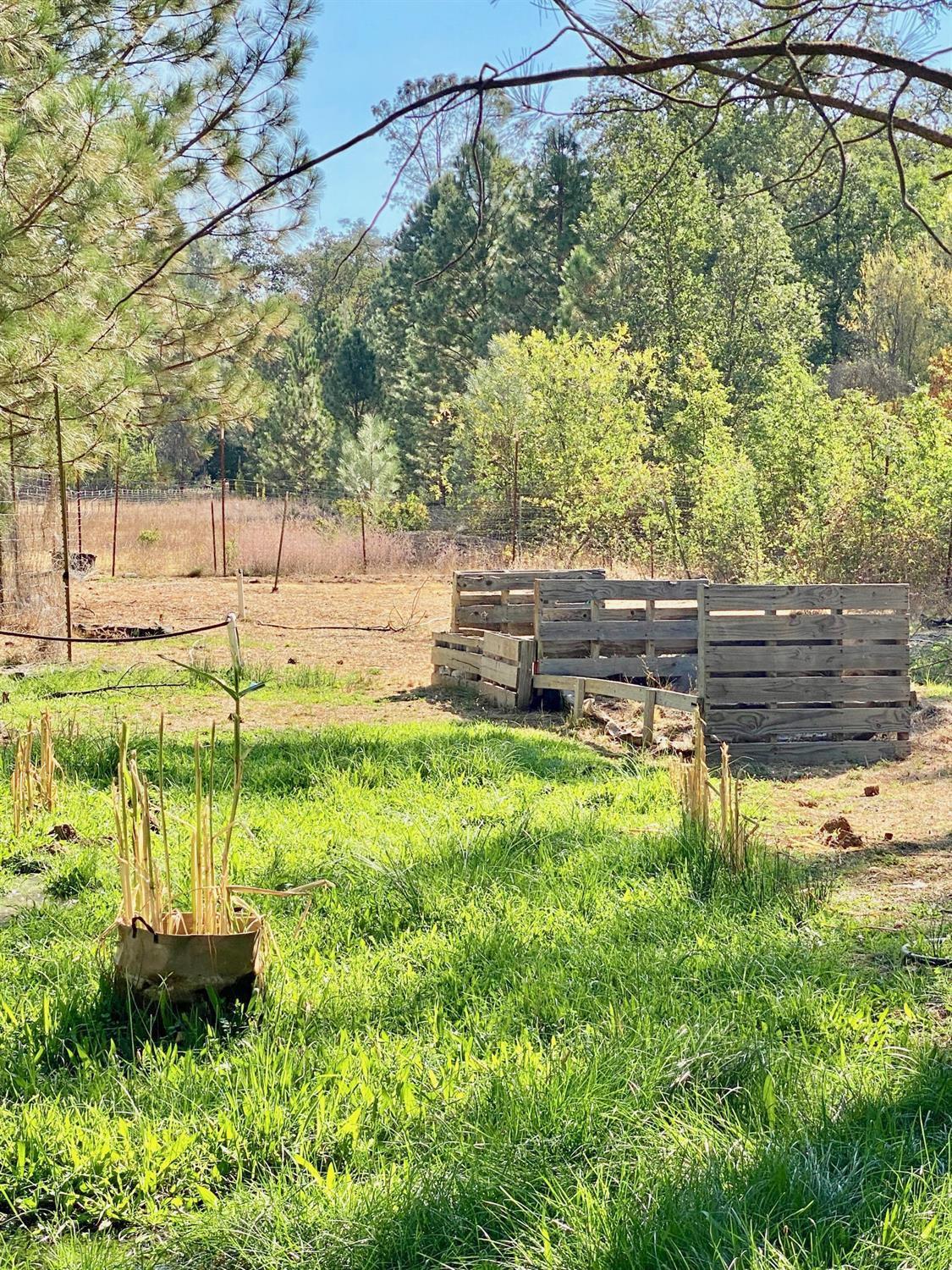 9398 Yuba Ranch Way Oregon House, CA 95962 - Photo 18 of 22 a backyard of a house with lots of green space