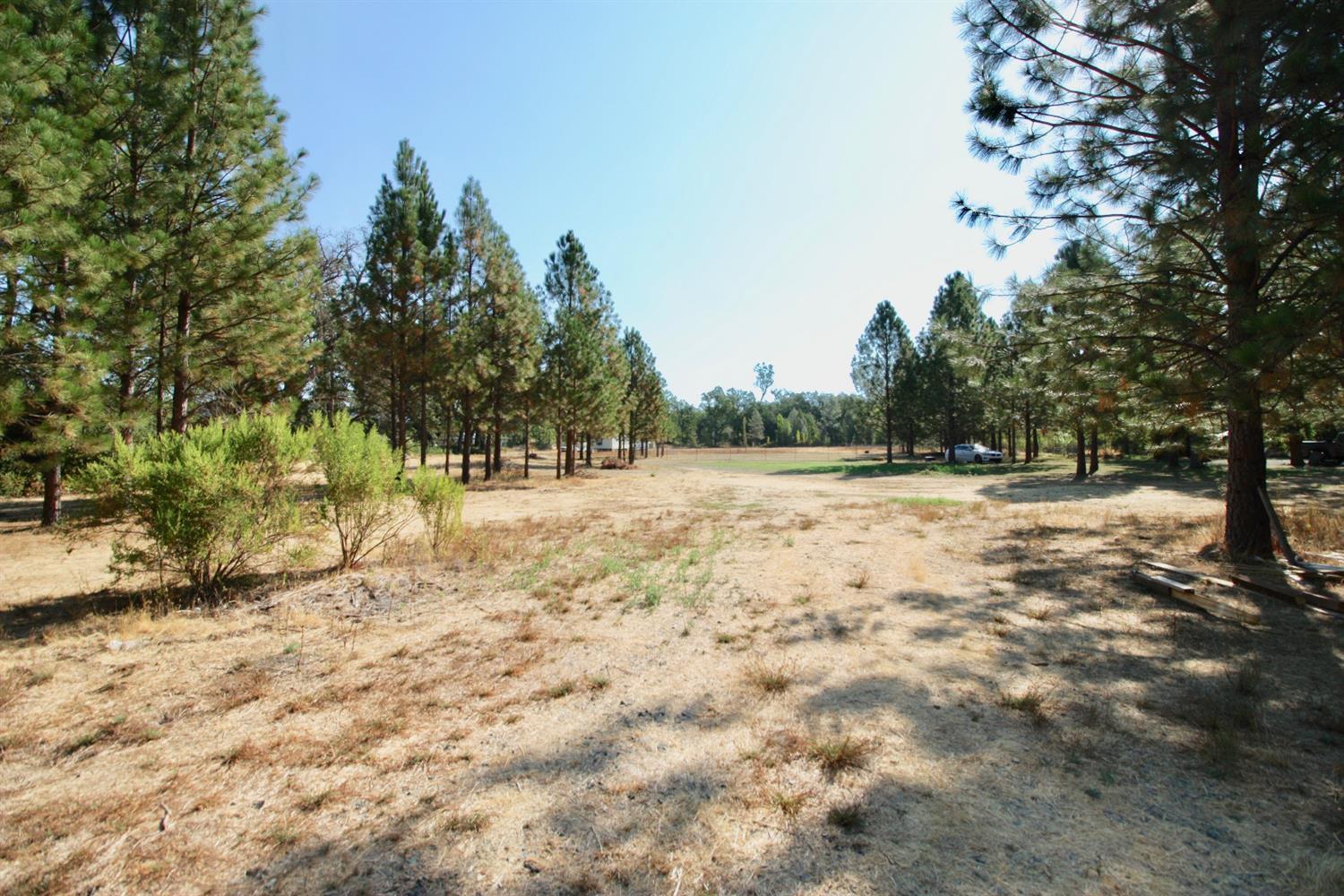 9398 Yuba Ranch Way Oregon House, CA 95962 - Photo 20 of 22 a view of yard with trees