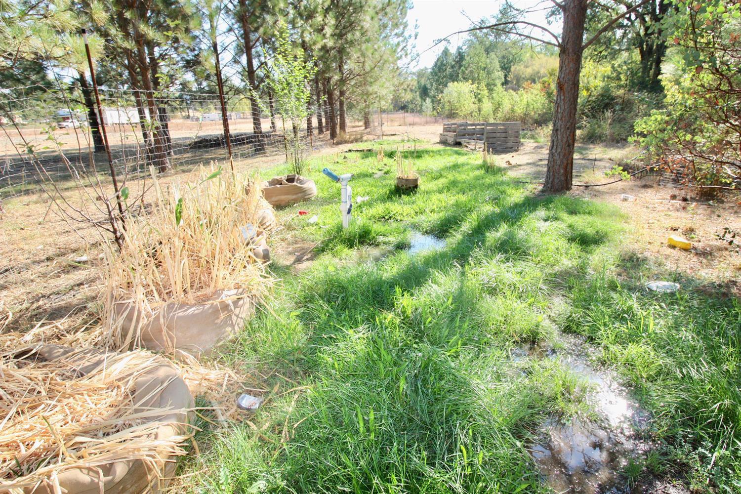 9398 Yuba Ranch Way Oregon House, CA 95962 - Photo 3 of 22 a view of yard with tree