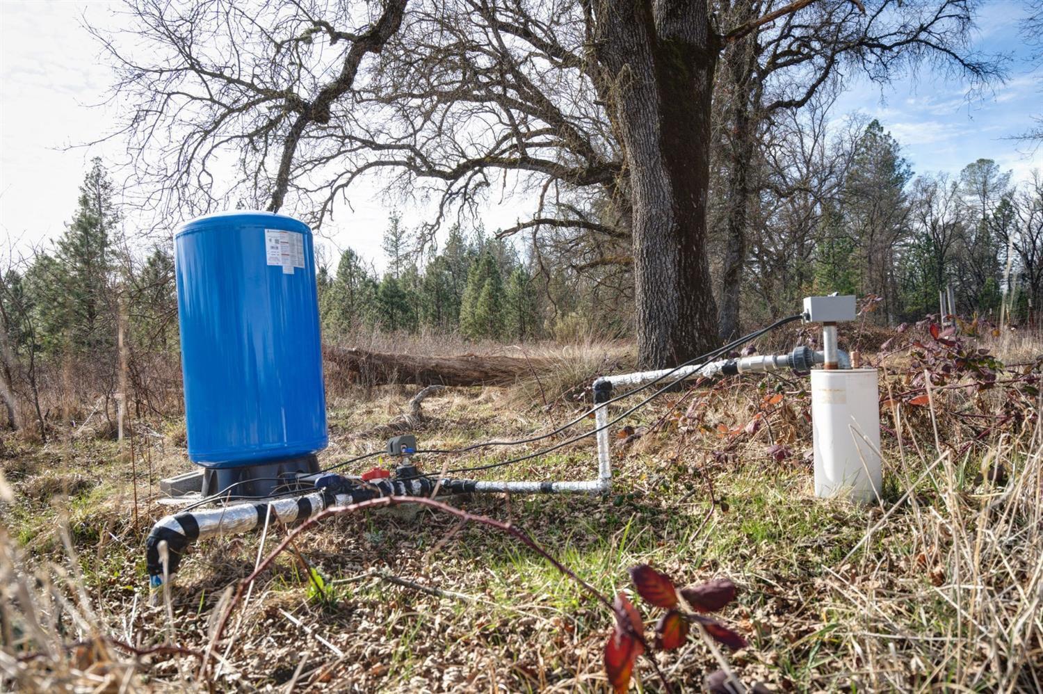 9398 Yuba Ranch Way Oregon House, CA 95962 - Photo 8 of 22 a view of a yard with large trees and a wooden fence
