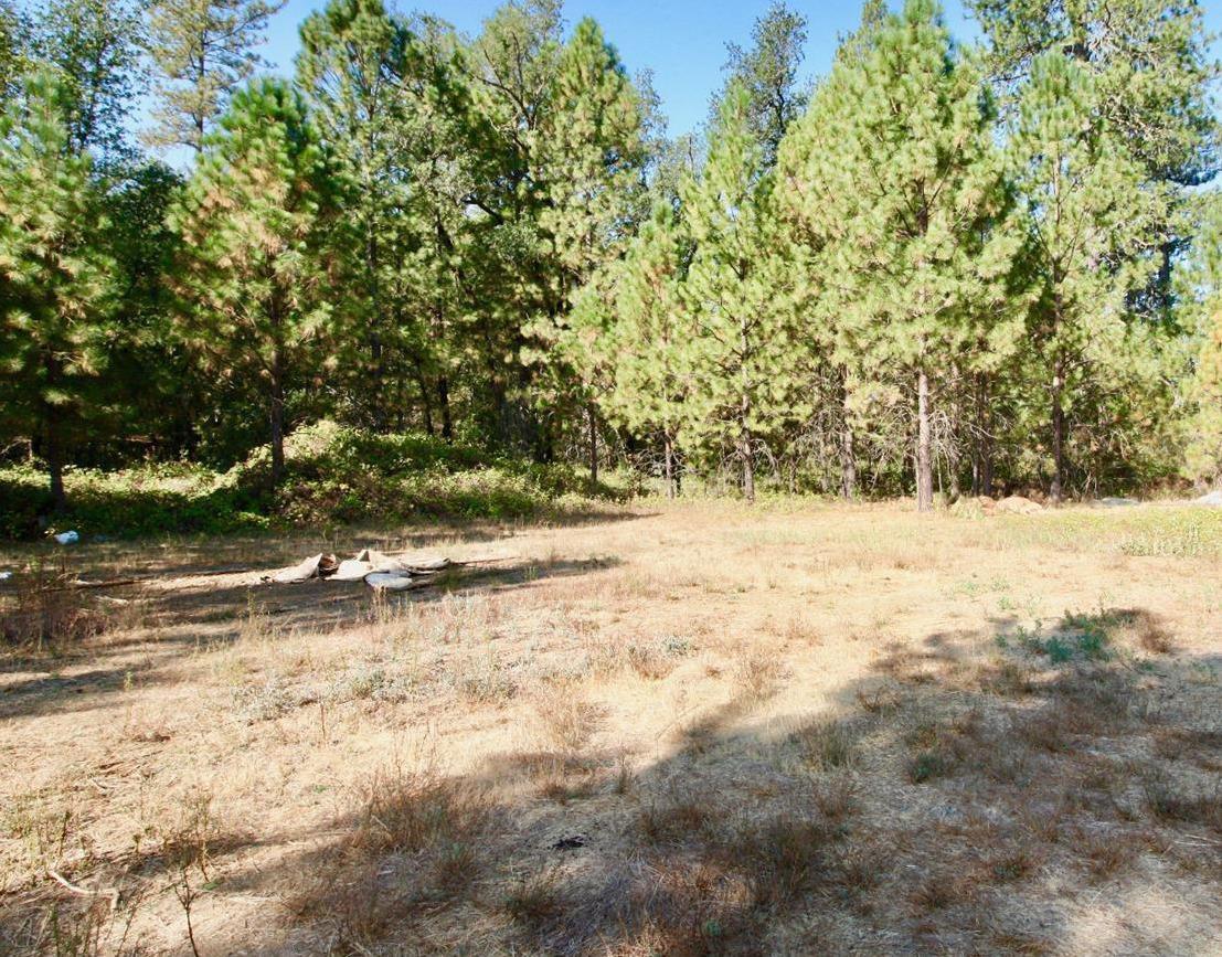 9398 Yuba Ranch Way Oregon House, CA 95962 - Photo 9 of 22 a view of yard covered with snow