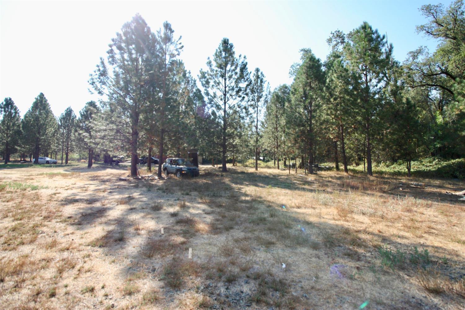 9398 Yuba Ranch Way Oregon House, CA 95962 - Photo 10 of 22 a view of outdoor space with trees