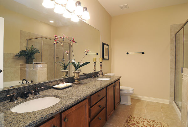 229 South Main Street, Unit 2E Lombard, IL 60148 - Photo 13 of 17 a bathroom with a granite countertop sink a toilet and a mirror