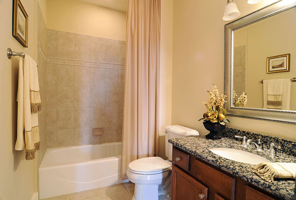 229 South Main Street, Unit 2E Lombard, IL 60148 - Photo 15 of 17 a bathroom with a granite countertop sink toilet and shower