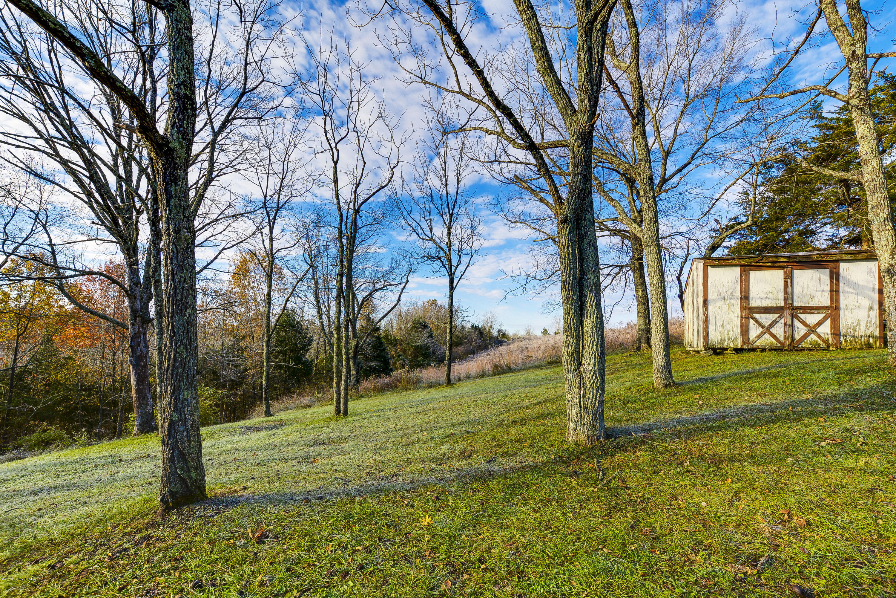 829 Drake Ridge Road Bloomfield, KY 40008 - Photo 16 of 40 829 DrakeRidgeRd_40004_5012