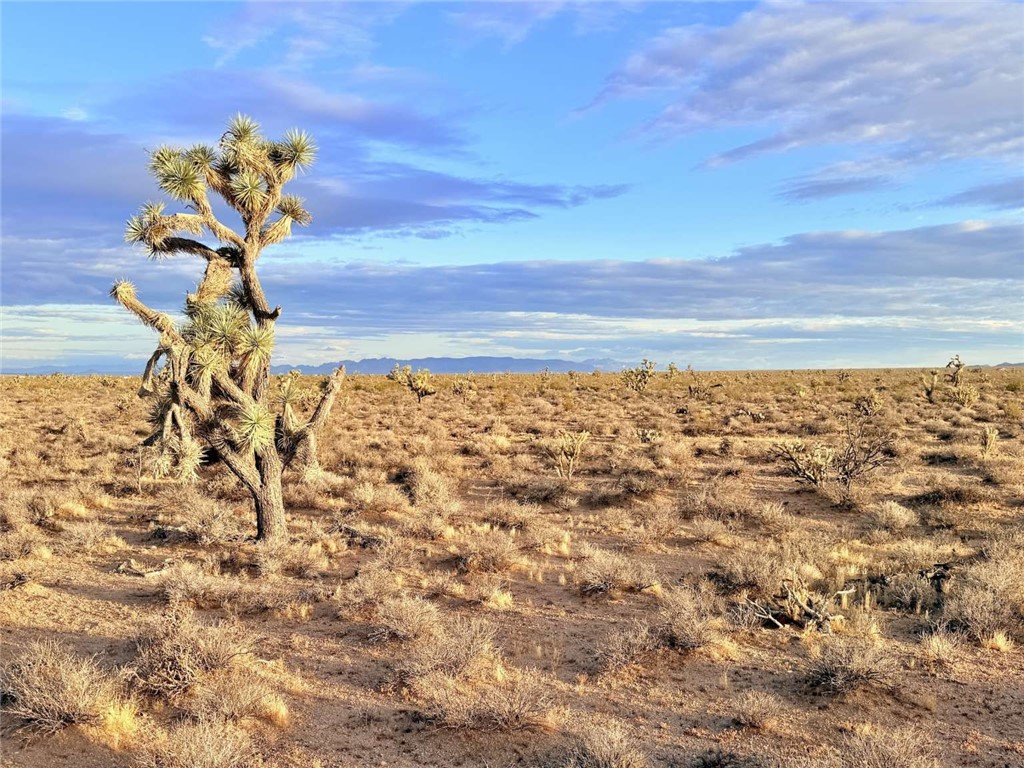 20030 South Billy The Kid Road Yucca, AZ 86438 - Photo 16 of 20
