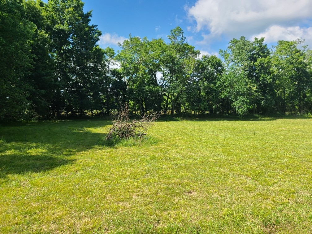 0 Puncheon Camp Road Bell Buckle, TN 37020 - Photo 1 of 4 Gallery Image 1
