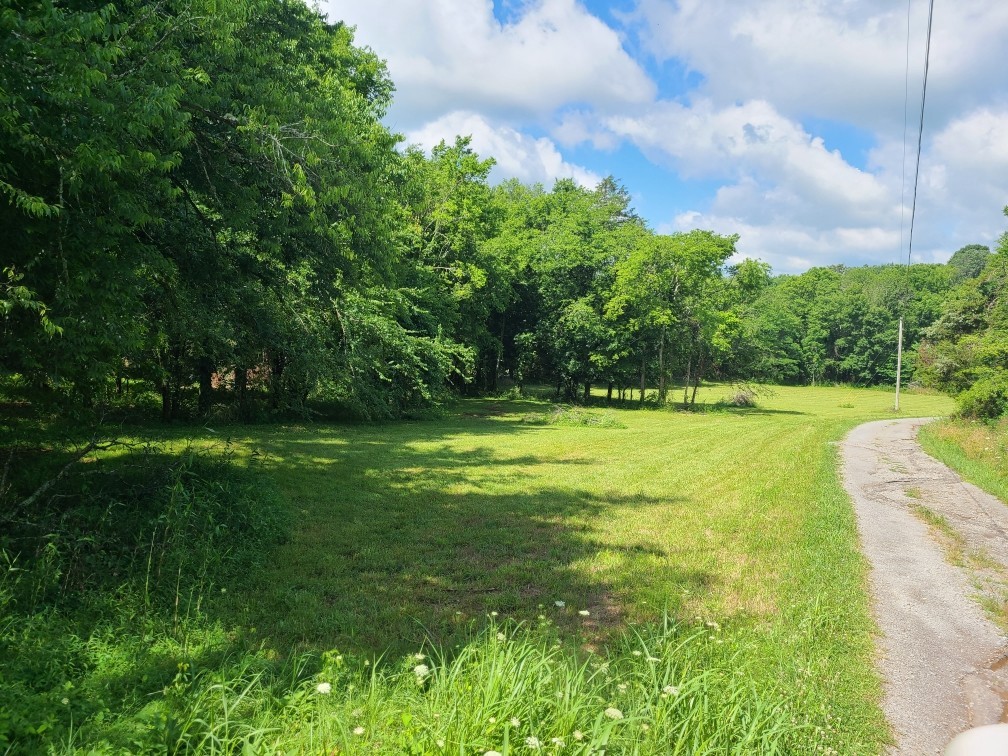 0 Puncheon Camp Road Bell Buckle, TN 37020 - Photo 3 of 4 Gallery Image 3