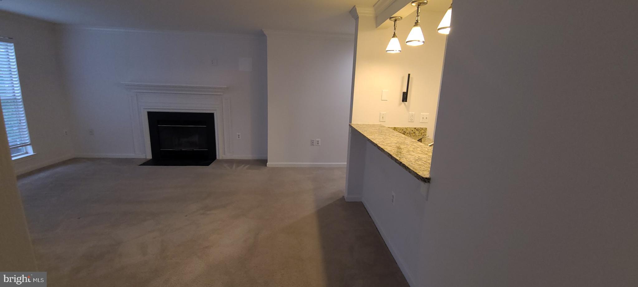 20958 Timber Ridge Terrace, Unit 201 Ashburn, VA 20147 - Photo 11 of 20 breakfast bar