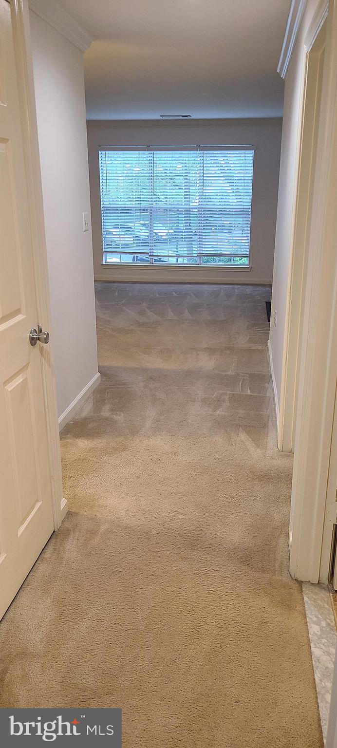 20958 Timber Ridge Terrace, Unit 201 Ashburn, VA 20147 - Photo 6 of 20 Entry way
