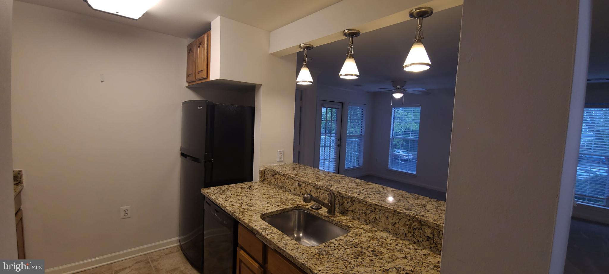 20958 Timber Ridge Terrace, Unit 201 Ashburn, VA 20147 - Photo 8 of 20 granite counters