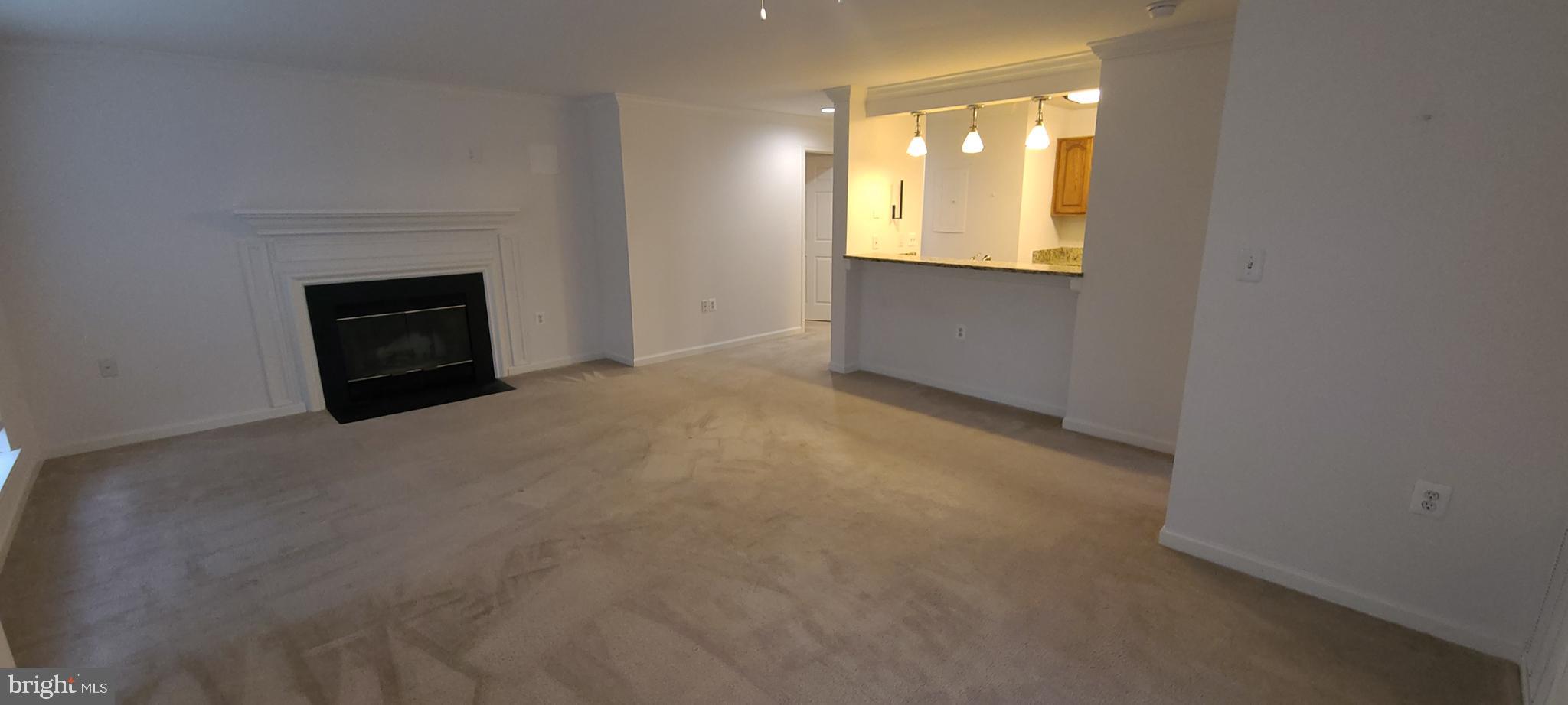 20958 Timber Ridge Terrace, Unit 201 Ashburn, VA 20147 - Photo 10 of 20 Wood burning fireplace