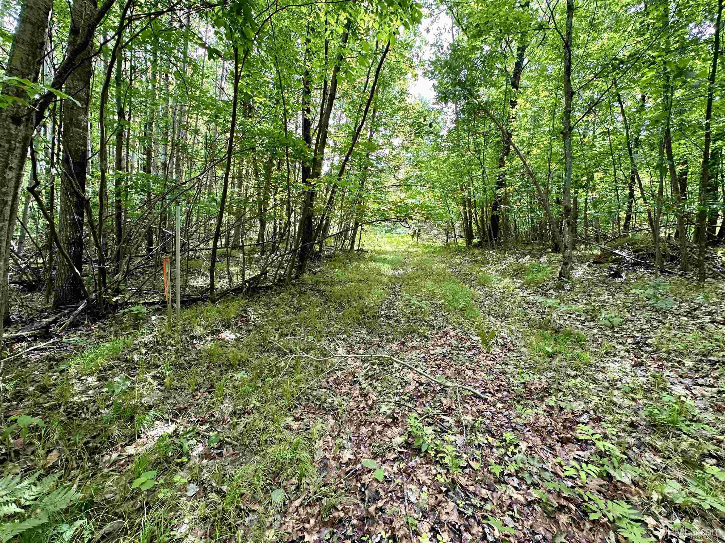 Tbd Tbd Homestead Road Vulcan, MI 49892 - Photo 7 of 10