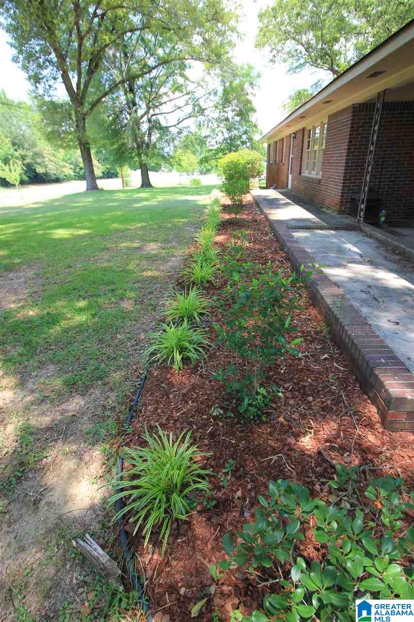 6500 Chelsea Road Columbiana, AL 35051 - Photo 3 of 14