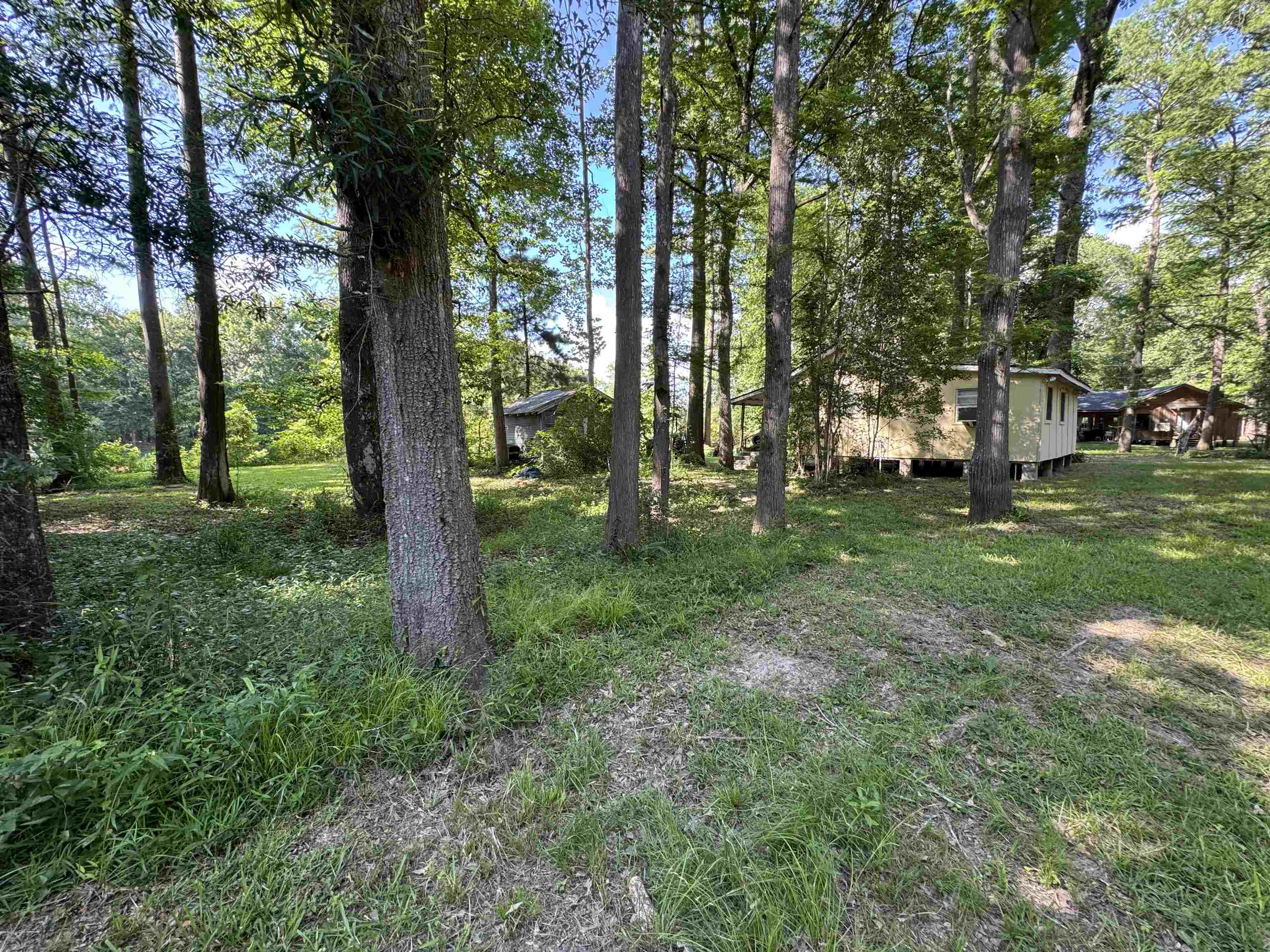 4011 C R 3775 Colmesneil, TX 75938 - Photo 16 of 40