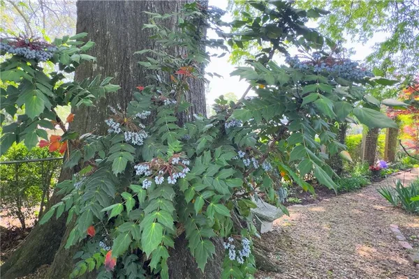 $475,000 | 512 Williamsburg Drive, Dalton, GA 30720