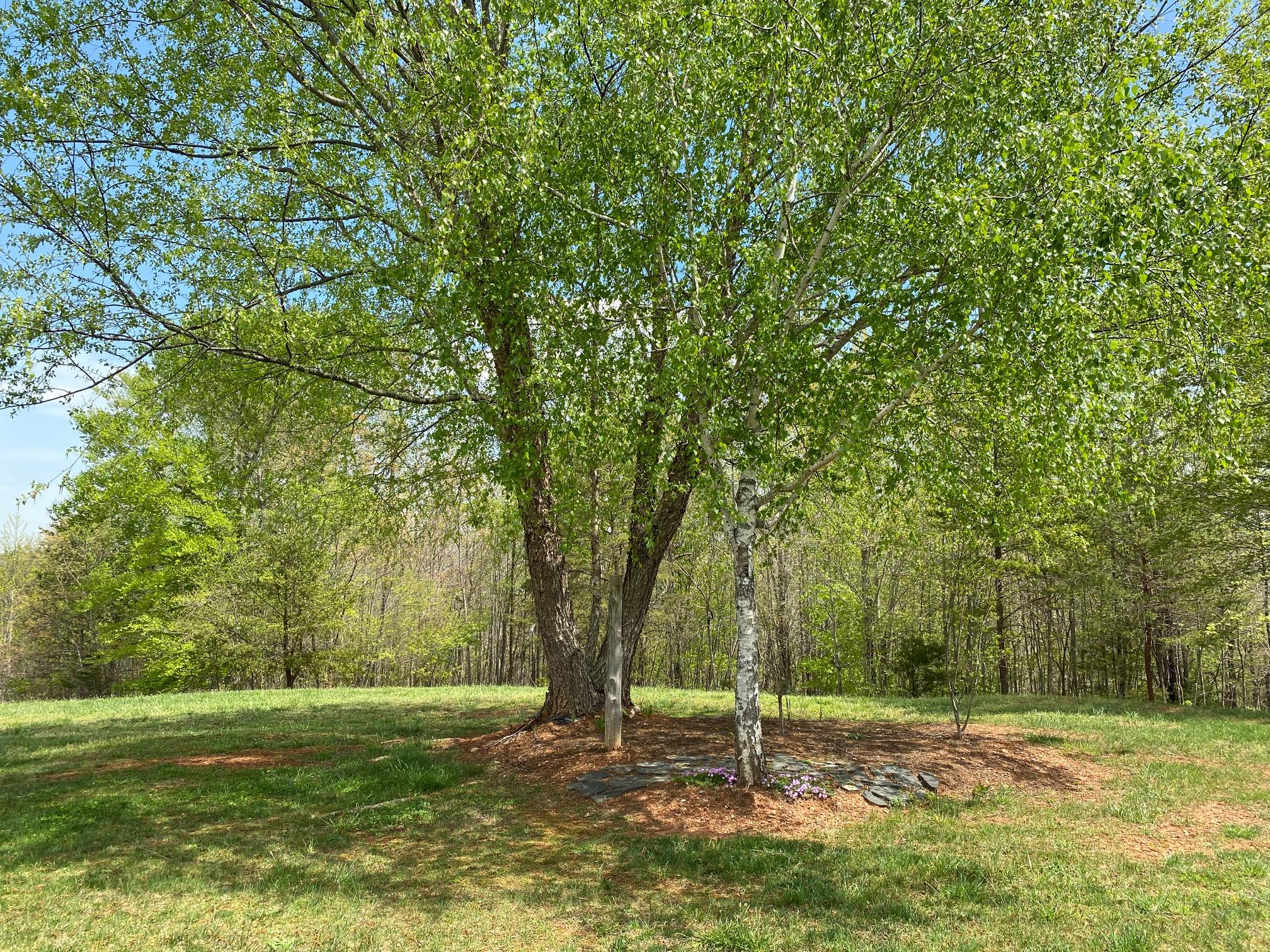 433 Hamilton Road Bassett, VA 24055 - Photo 12 of 93 12
