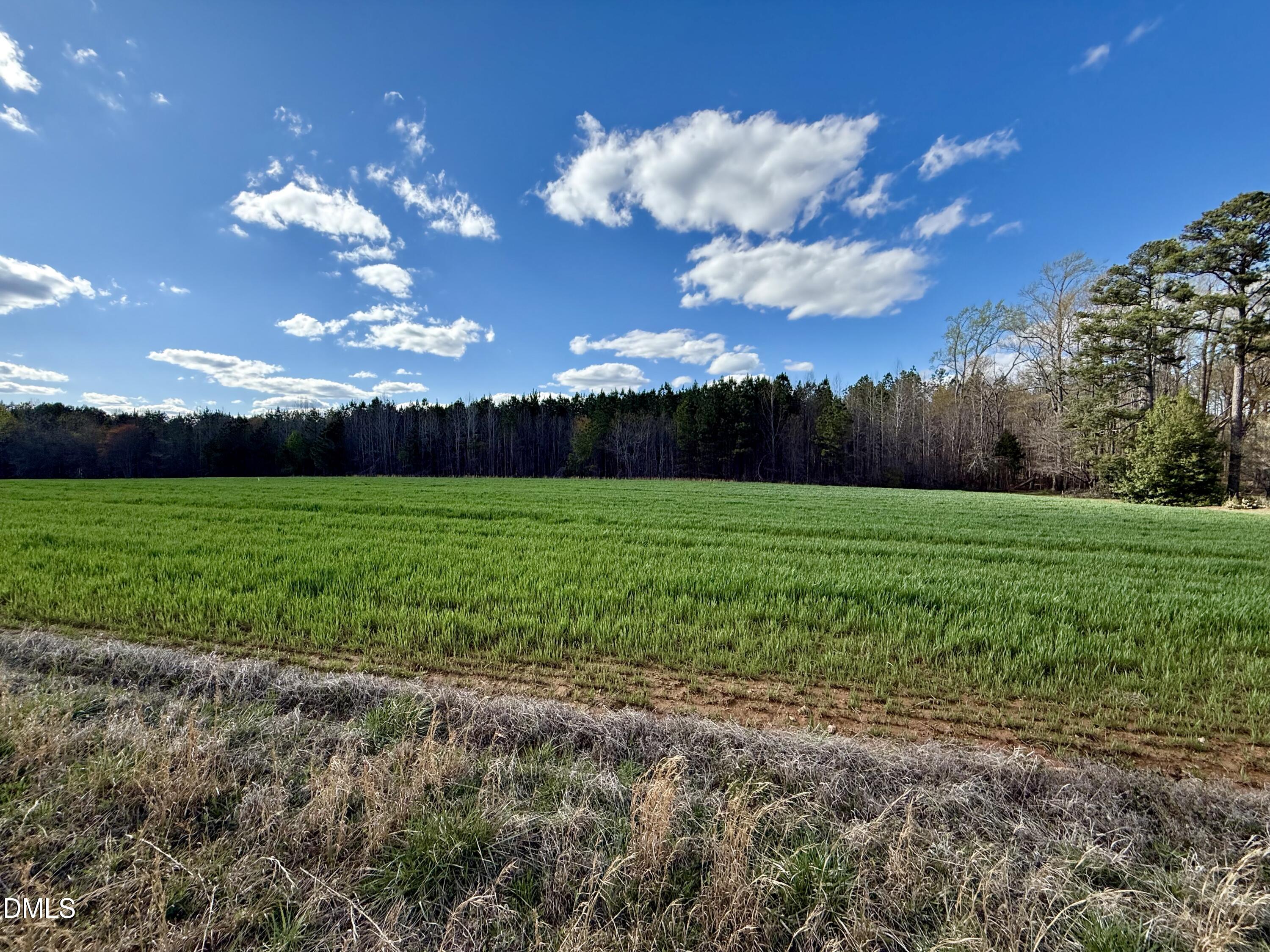 2757 Philo White Road Franklinton, NC 27525 - Photo 1 of 4 IMG_8596