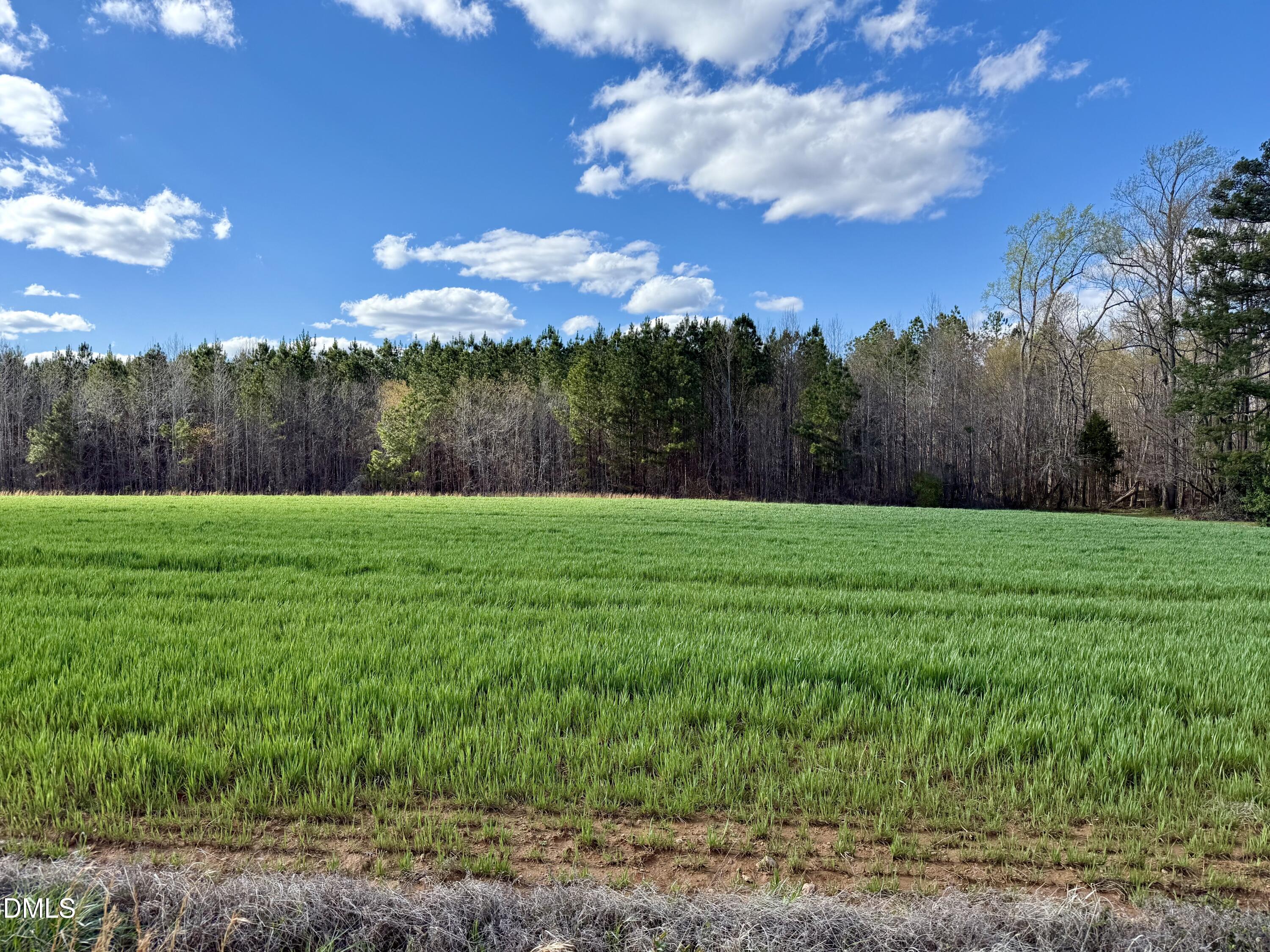 2757 Philo White Road Franklinton, NC 27525 - Photo 2 of 4 IMG_8597