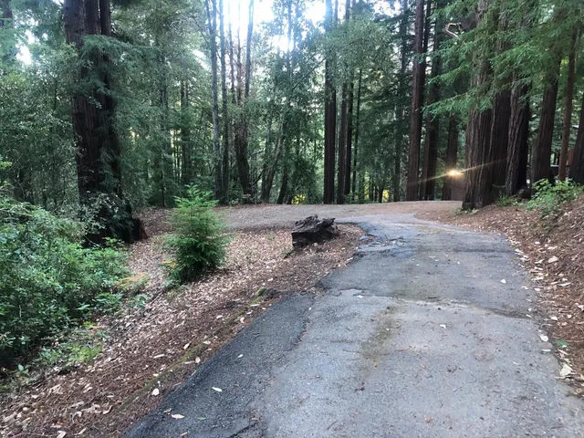 a view of a street with trees and plants