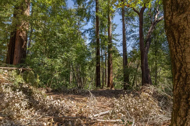 a backyard of a house with lots of green space