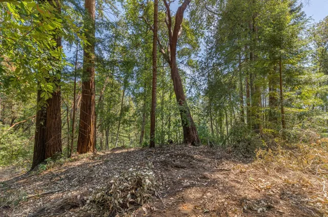 a view of outdoor space and trees