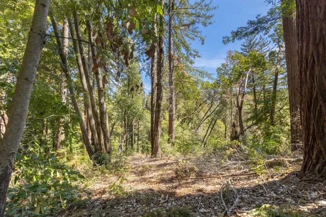 a view of backyard with green space