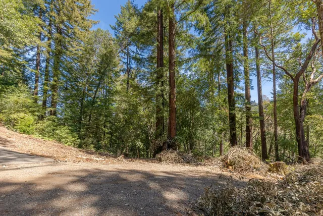 a view of road and trees