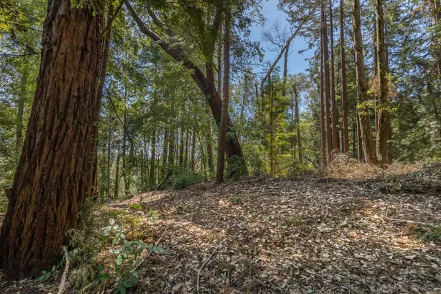 a backyard of a house with lots of green space