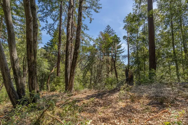 a view of outdoor space and trees