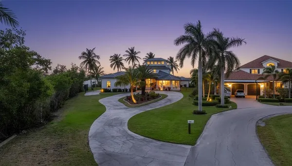 a view of a backyard with palm trees