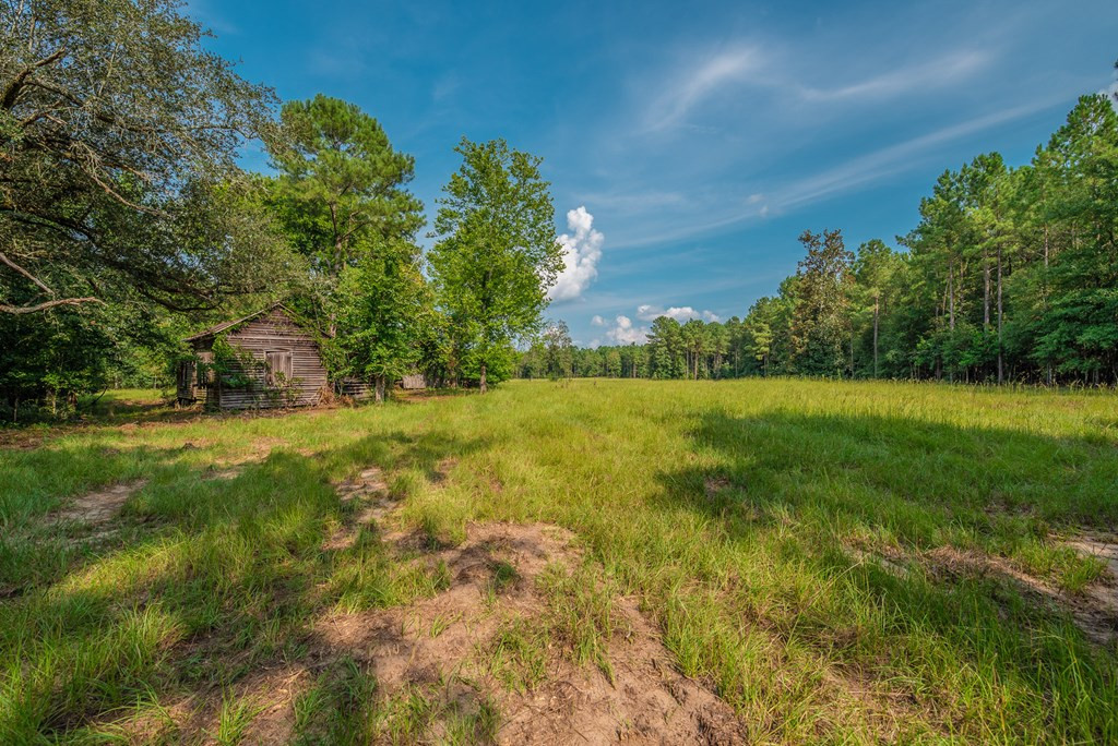 241 Voyager Road Salley, SC 29137 - Photo 2 of 31