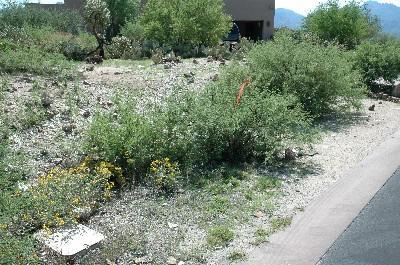 461 East Sun Spring Place Tucson, AZ 85755 - Photo 8 of 10