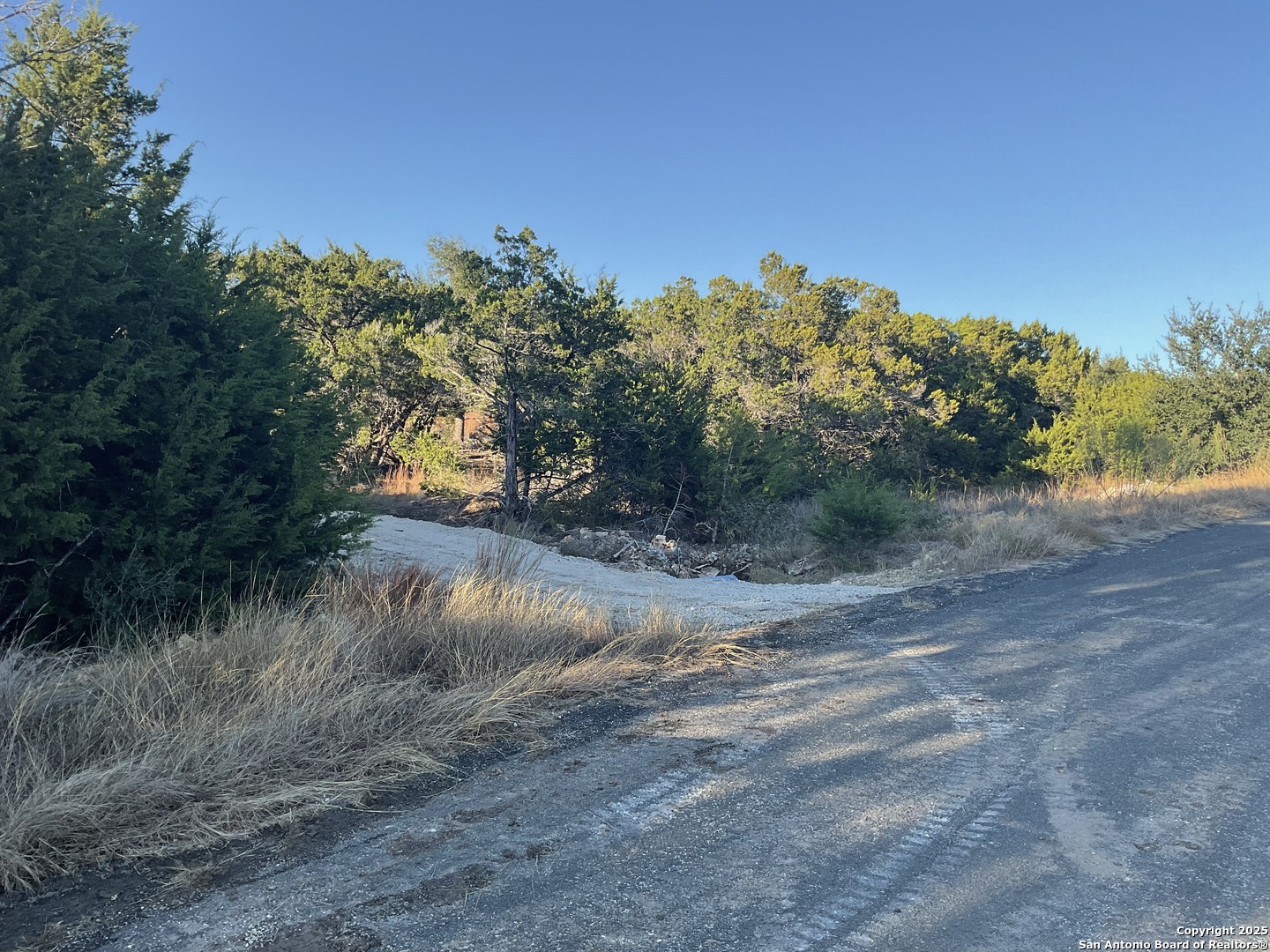 113 Champion Way Spring Branch, TX 78070 - Photo 1 of 13 a view of a yard with a tree