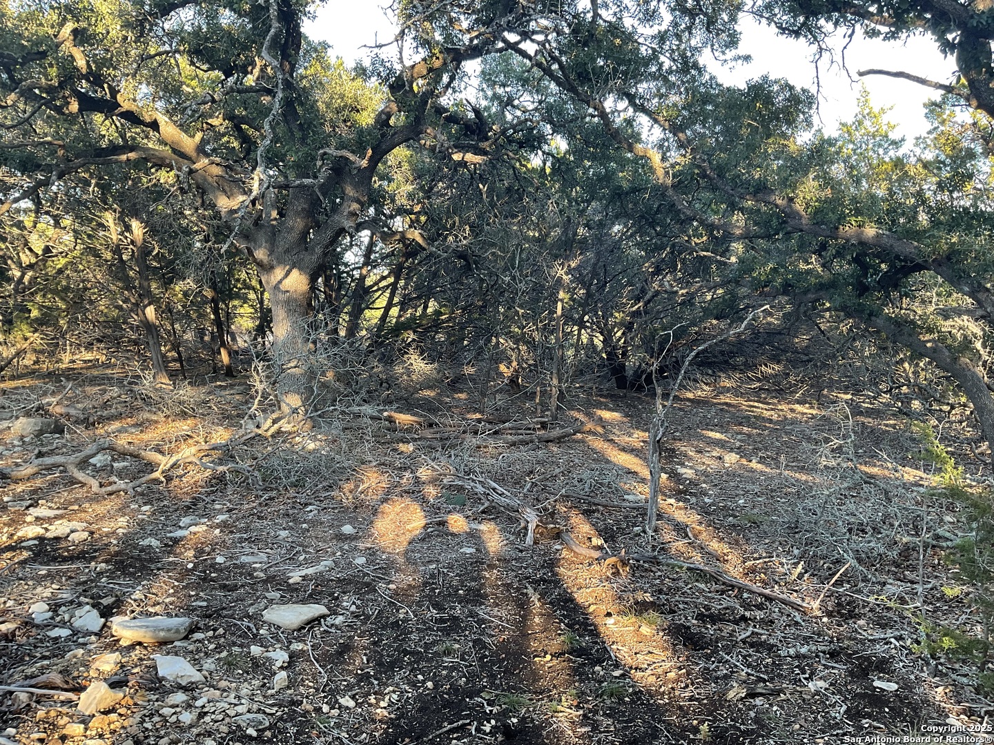 113 Champion Way Spring Branch, TX 78070 - Photo 11 of 13 a backyard of a house