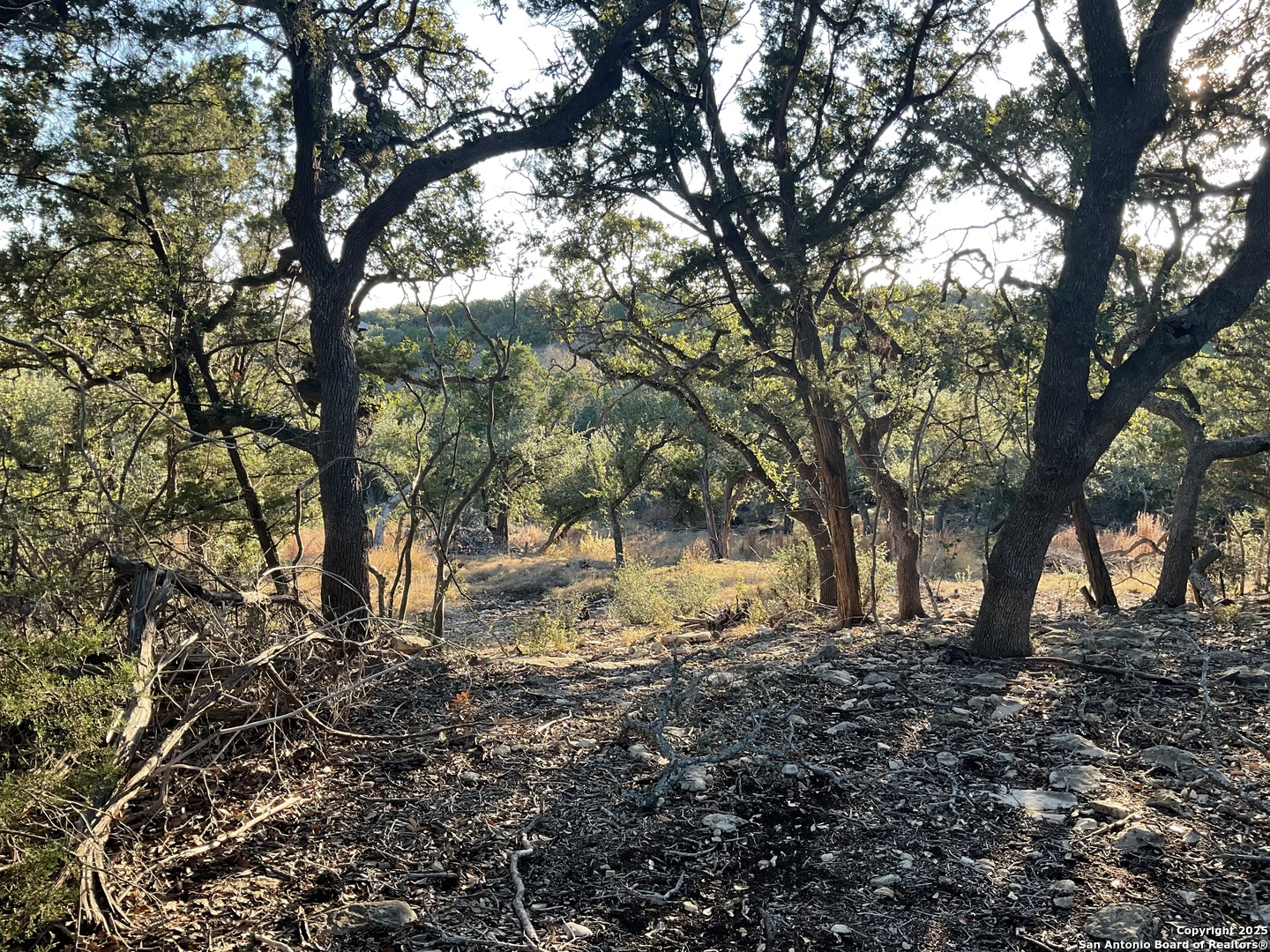 113 Champion Way Spring Branch, TX 78070 - Photo 12 of 13 a view of backyard of a house