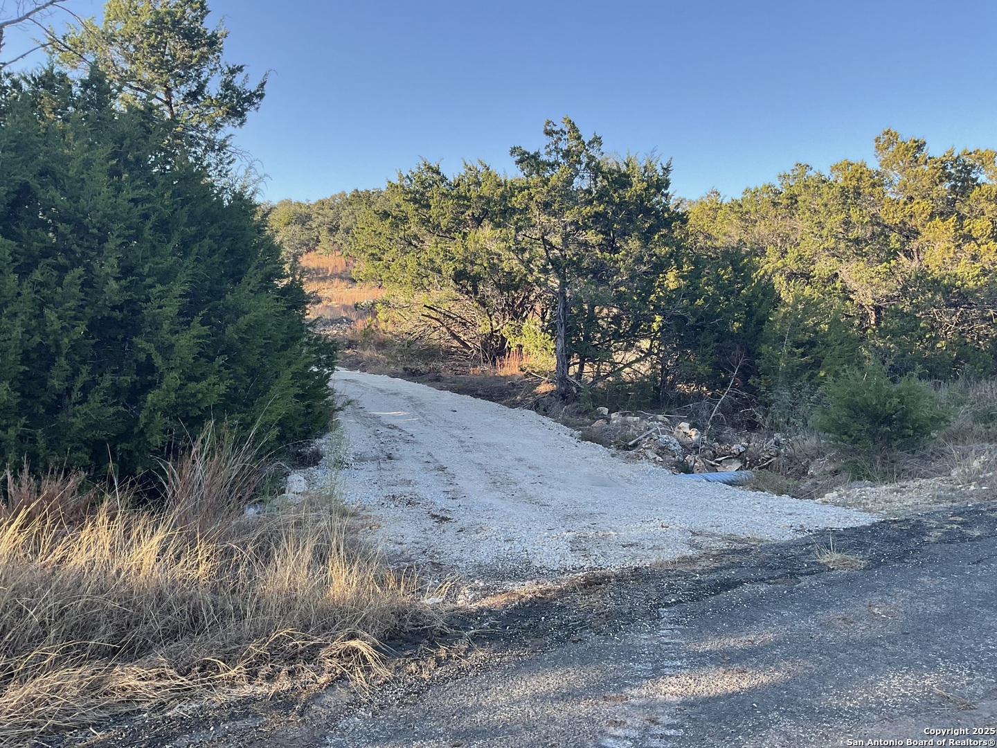 113 Champion Way Spring Branch, TX 78070 - Photo 2 of 13 a view of a dry yard