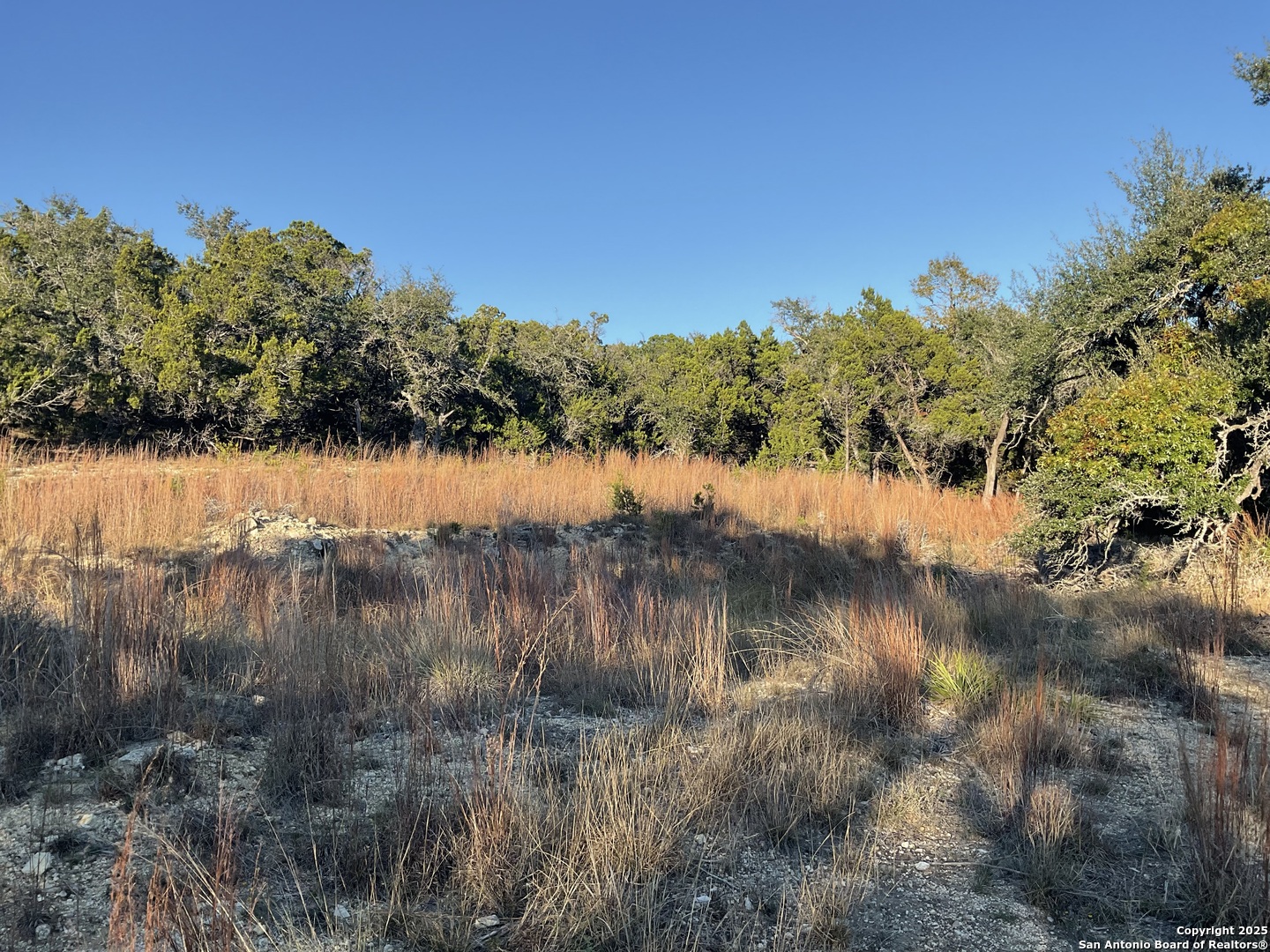 113 Champion Way Spring Branch, TX 78070 - Photo 3 of 13 a view of lake