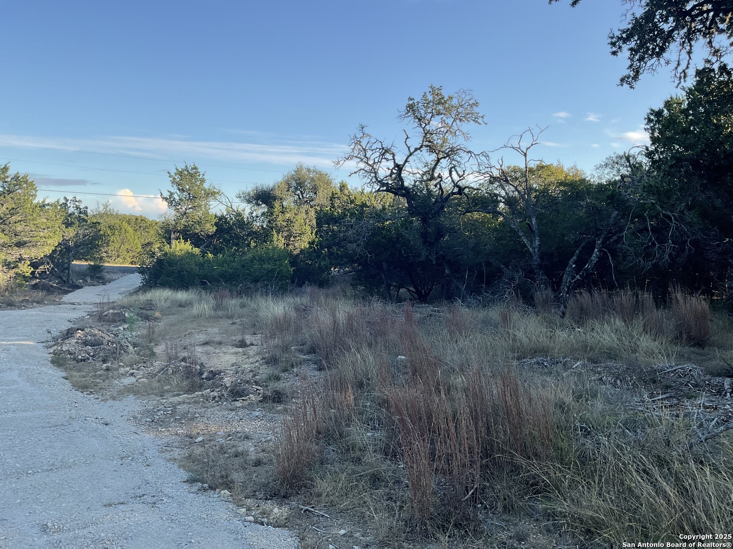 113 Champion Way Spring Branch, TX 78070 - Photo 4 of 13 a view of a yard