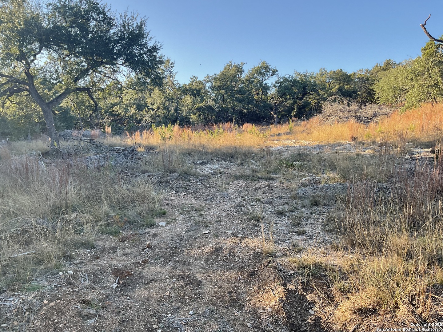 113 Champion Way Spring Branch, TX 78070 - Photo 5 of 13 a view of a field
