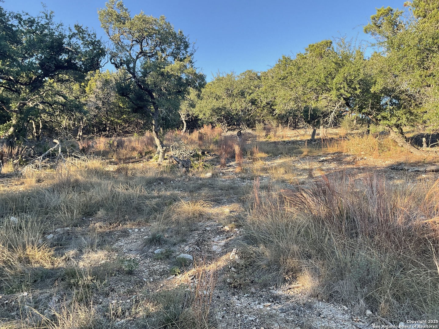 113 Champion Way Spring Branch, TX 78070 - Photo 7 of 13 a view of lake with green space